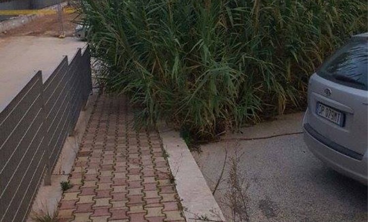 Mazara capitale? Si, delle erbacce però!